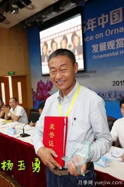談?wù)勚袊?guó)月季的發(fā)展史，致敬中國(guó)的月季育種家前輩們！(圖19)