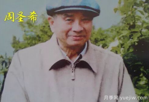 談?wù)勚袊?guó)月季的發(fā)展史，致敬中國(guó)的月季育種家前輩們！(圖25)