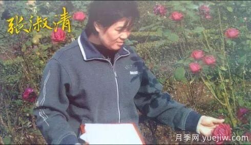 談?wù)勚袊?guó)月季的發(fā)展史，致敬中國(guó)的月季育種家前輩們！(圖23)