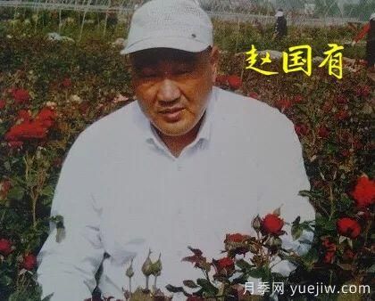 談?wù)勚袊?guó)月季的發(fā)展史，致敬中國(guó)的月季育種家前輩們！(圖24)