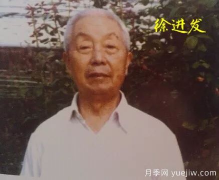 談?wù)勚袊?guó)月季的發(fā)展史，致敬中國(guó)的月季育種家前輩們！(圖28)