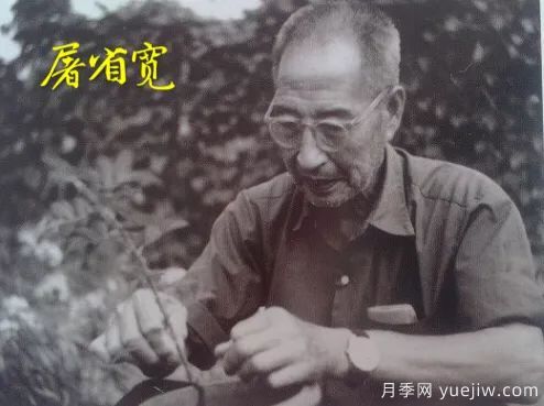 談?wù)勚袊?guó)月季的發(fā)展史，致敬中國(guó)的月季育種家前輩們！(圖29)