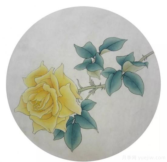 談?wù)勚袊?guó)月季的發(fā)展史，致敬中國(guó)的月季育種家前輩們！(圖67)