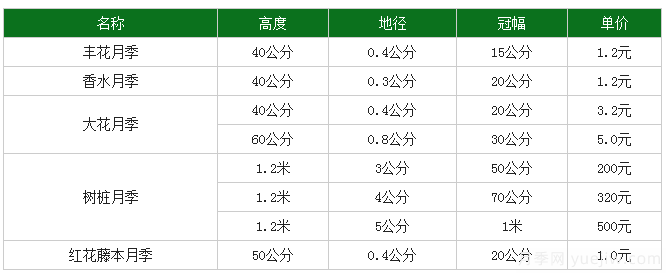 月季花多少錢一株？月季花的繁殖方法和養(yǎng)殖方法(圖1)