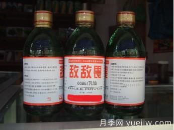 園林養(yǎng)護常用殺蟲劑知識(圖1)