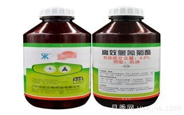 園林養(yǎng)護常用殺蟲劑知識(圖3)