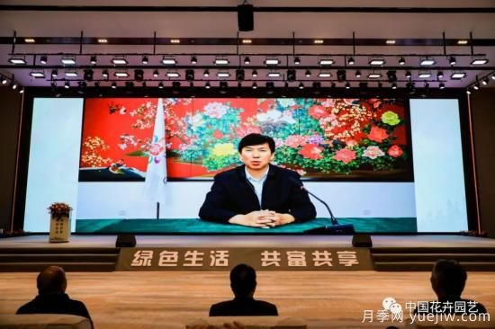 第十九屆中國(guó)（浙江金華）花卉苗木博覽會(huì)開幕(圖2)