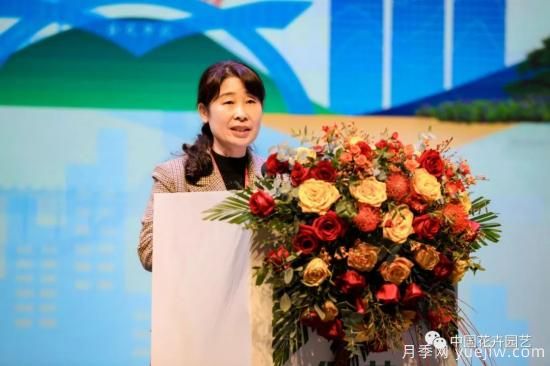 第十九屆中國(guó)（浙江金華）花卉苗木博覽會(huì)開幕(圖5)